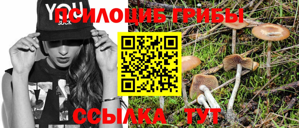 Лобня  Псилоцибиновые грибы Psilocybe  Вход с VPN 